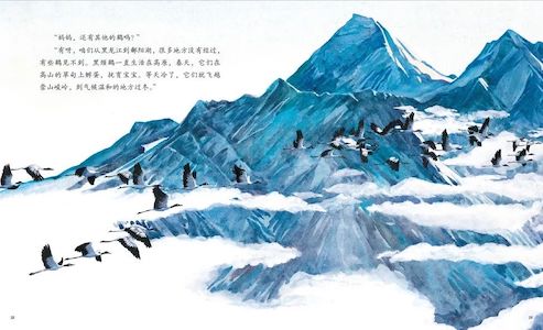 小众书5.jpeg