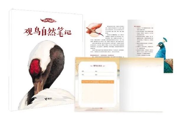 小众书6.jpeg