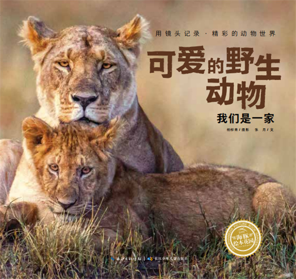 图片 16.jpg