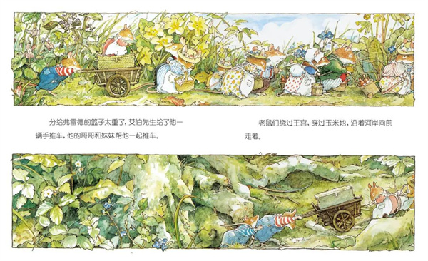 图片 15.jpg