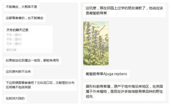 图片 18.jpg