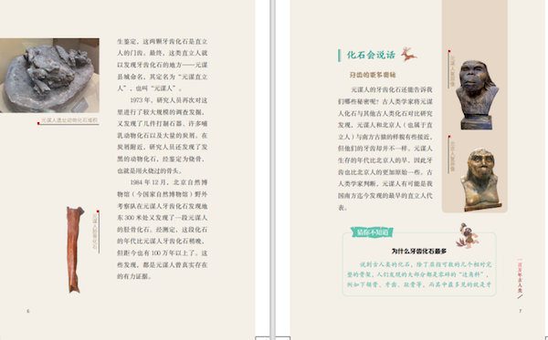 图片10.png