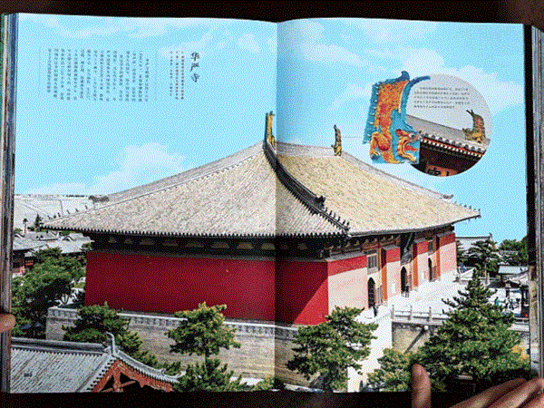 6.gif