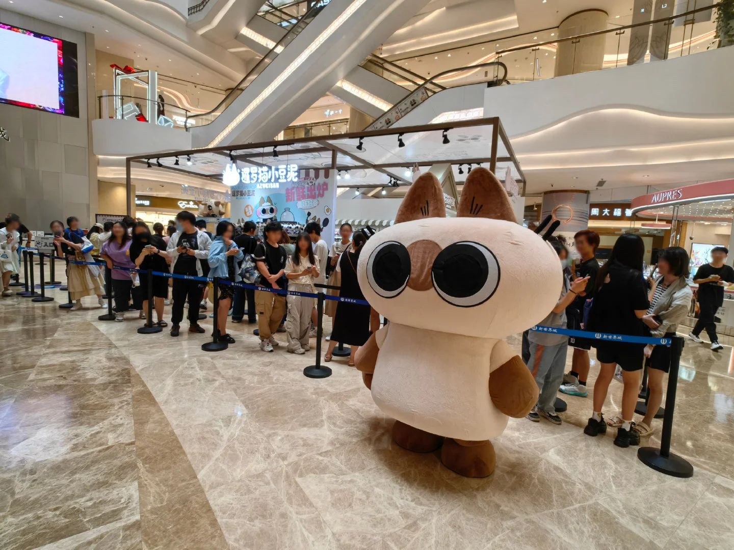 1747305182367082097.jpg 1747305182367082097.jpg