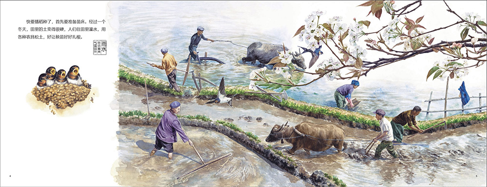 1756456423911047131.jpg 1756456423911047131.jpg