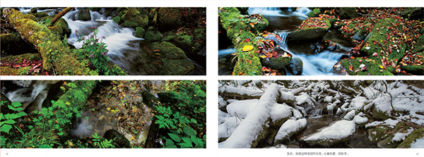 1756457472103063808.png 1756457472103063808.png